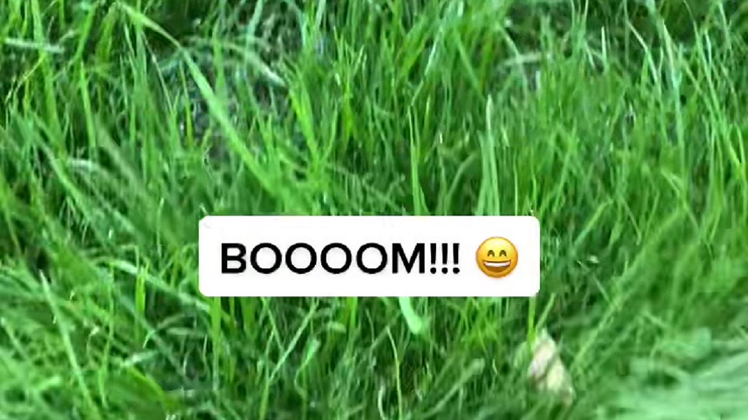 Come la biodiversità è diventata di moda fra i giovani grazie a TikTok